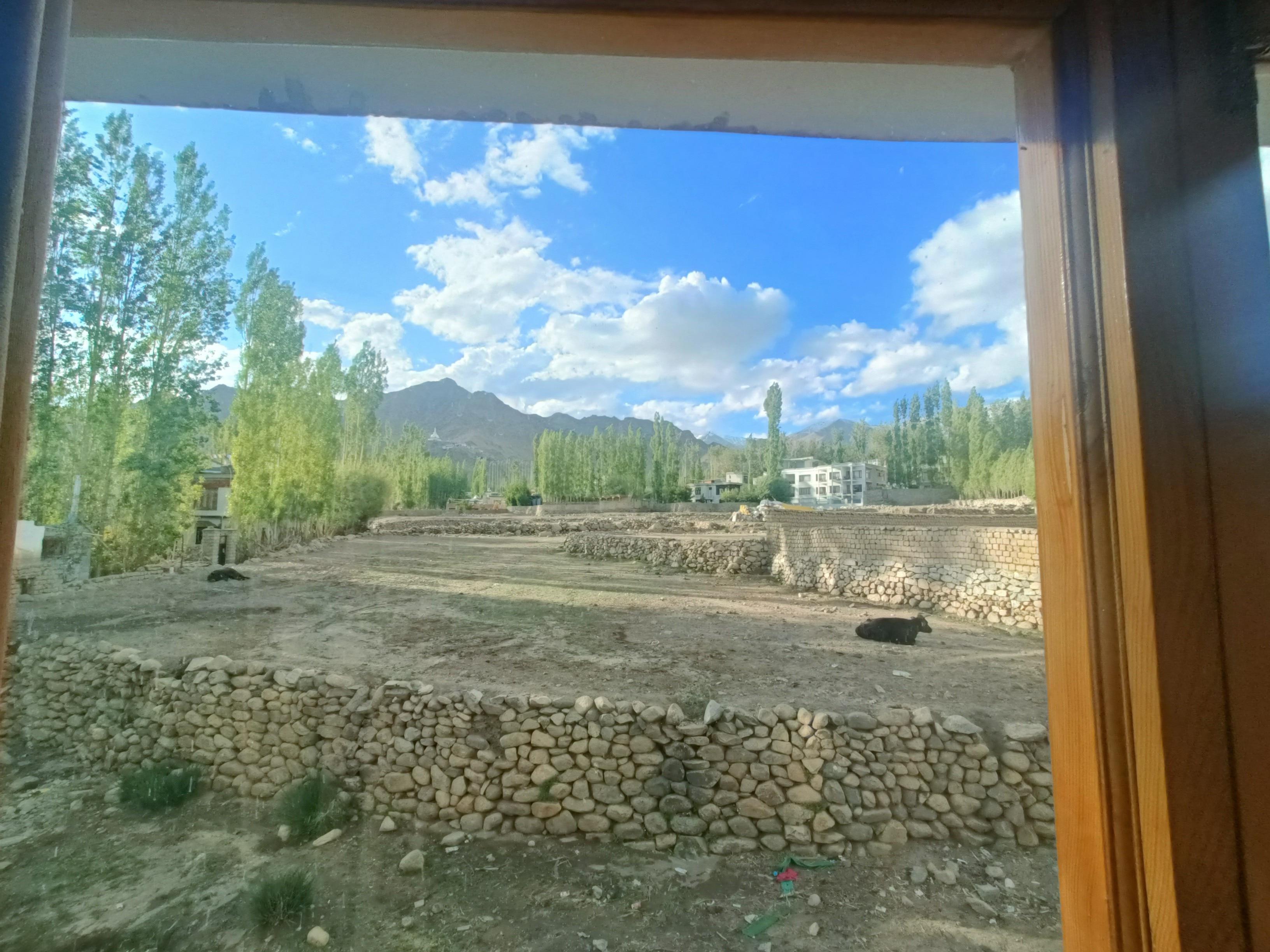 Photo 26