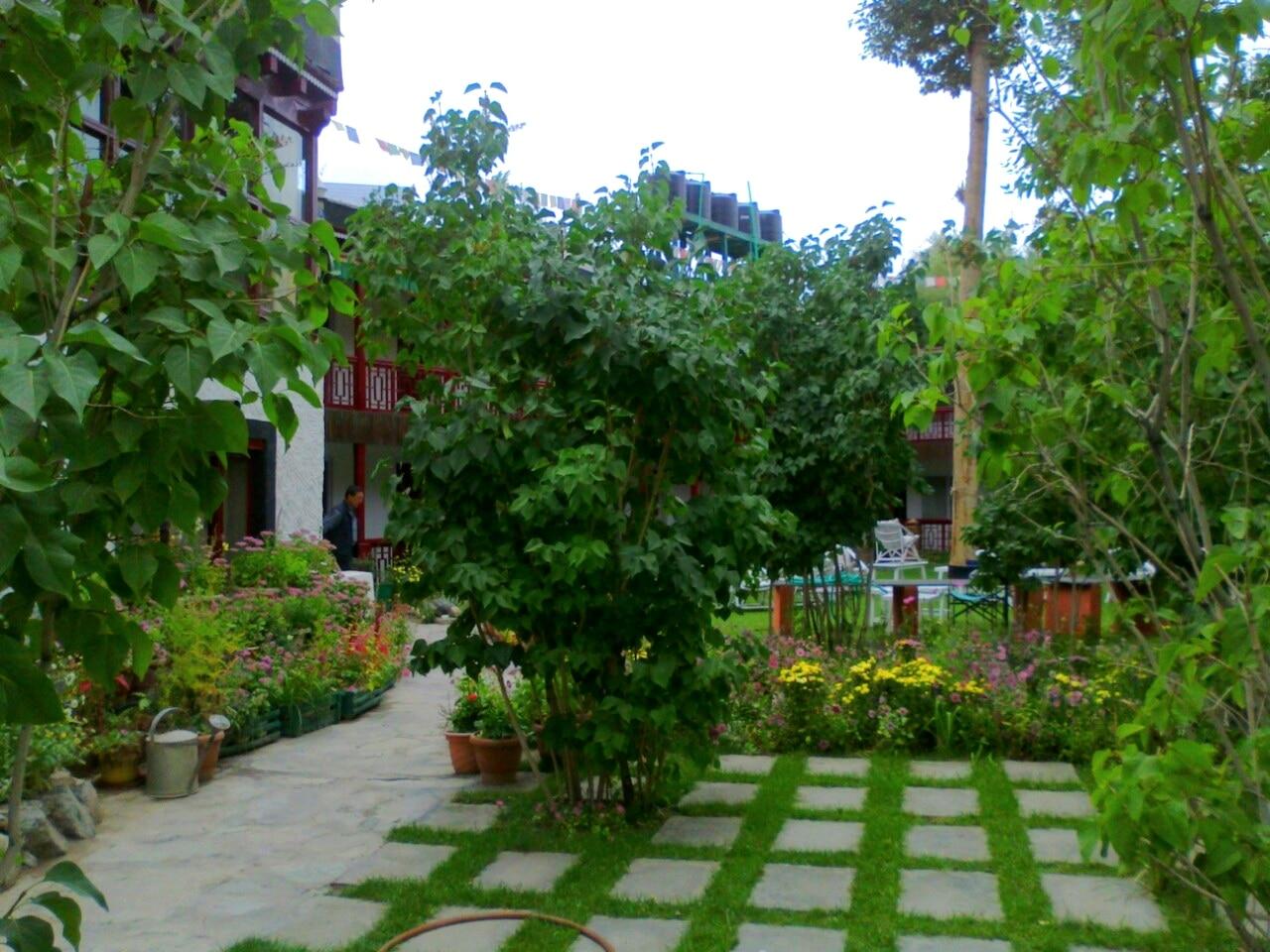 Photo 1