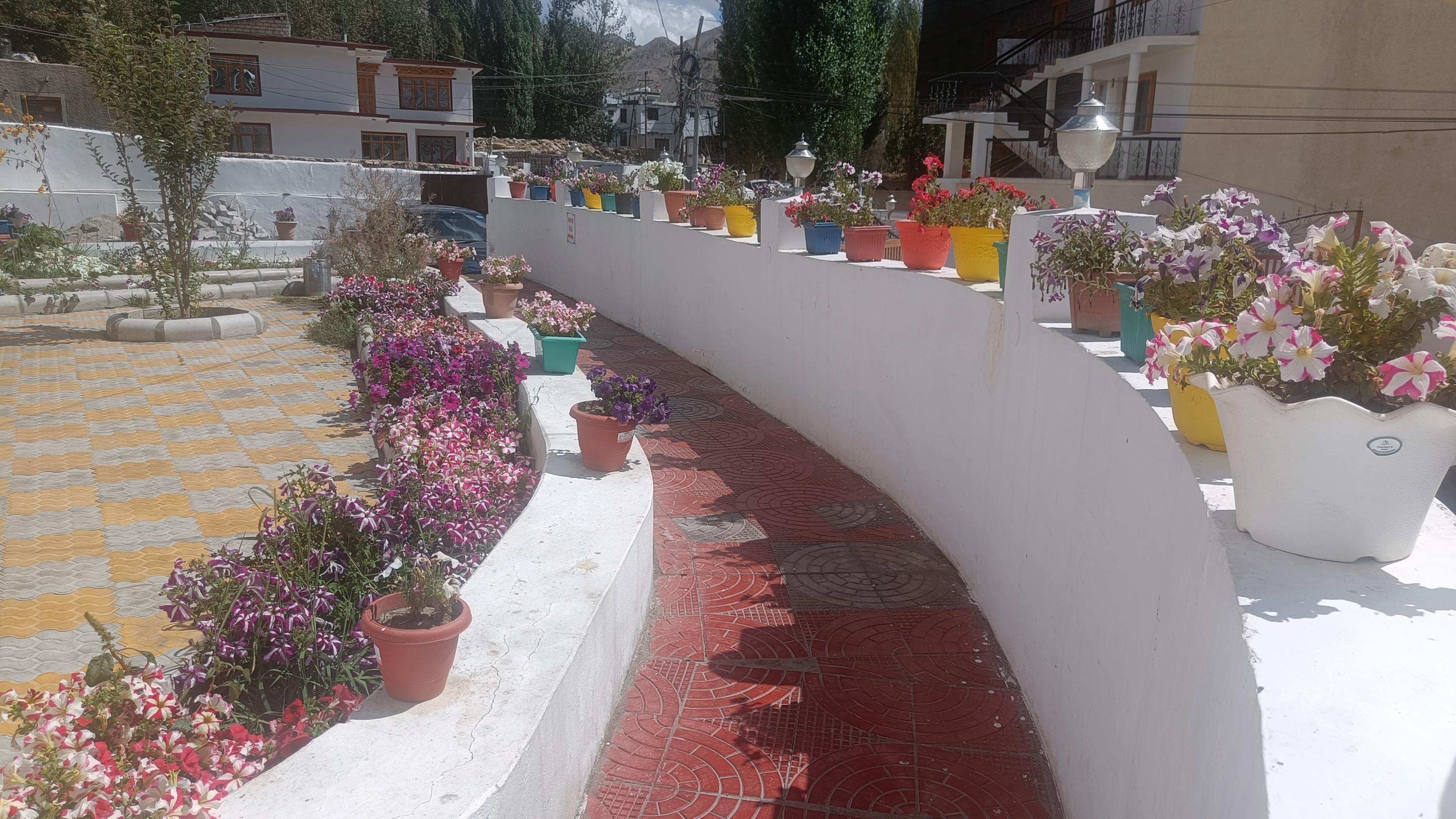Photo 15
