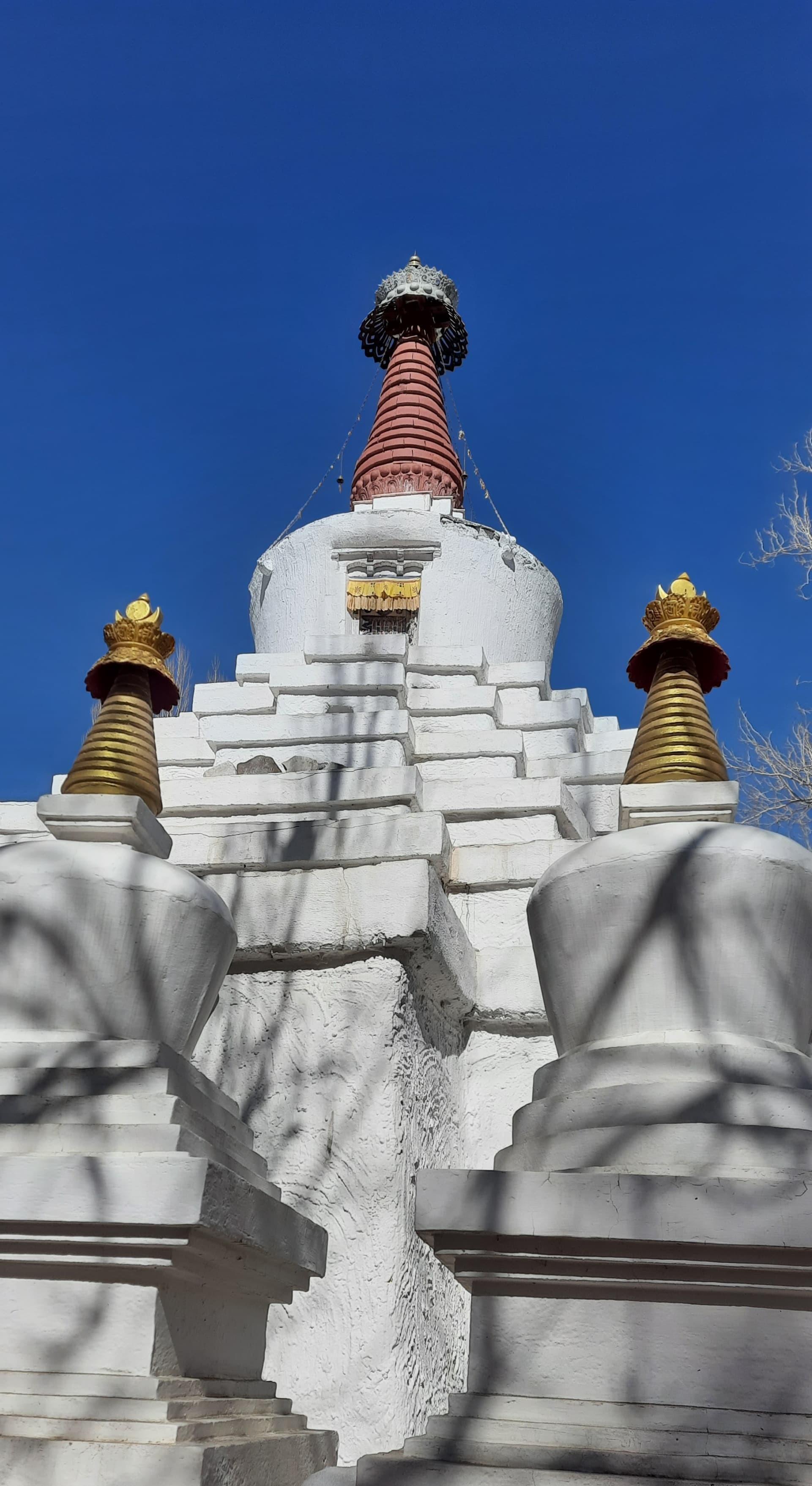 Photo 4